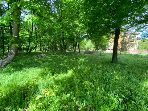 ділянка за адресою шевченка