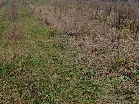 ділянка за адресою 