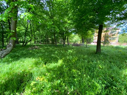 участок по адресу 