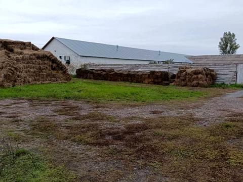 комерційна за адресою с. Дубище, Миру, 62/3