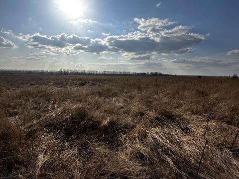 участок по адресу Ужвій