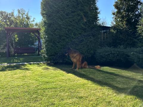 будинок за адресою Івана Богуна вул.