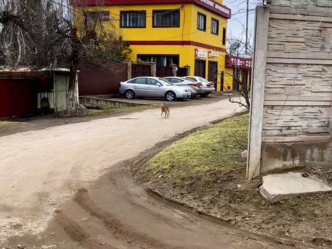 дом по адресу Севанская ул.