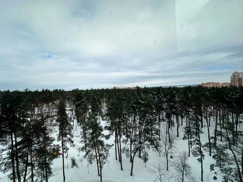 квартира за адресою Університетська вул., 3/8