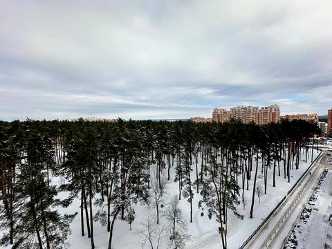 квартира за адресою Університетська вул., 3/8