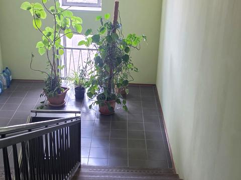 квартира по адресу Ивана Акинфиева ул. (Фучика), 14-А