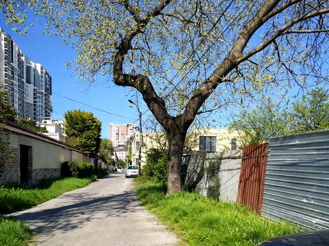 ділянка за адресою Полуничний пров.