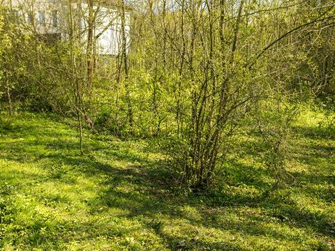 ділянка за адресою Полуничний пров.