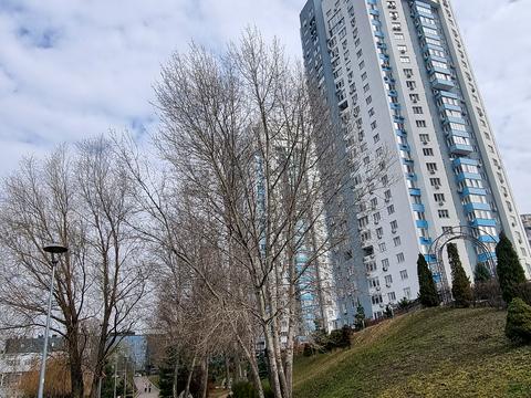 квартира за адресою Оболонський просп., 1к3