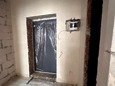 квартира по адресу Каменецкая ул., (Будинок)