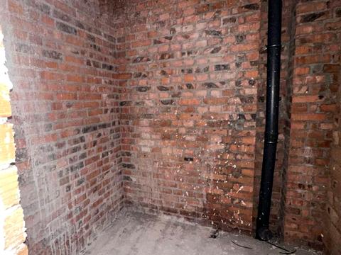 квартира по адресу Каменецкая ул., (Будинок)