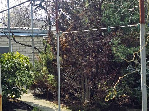 ділянка за адресою Святослава Ріхтера вул. (Щорса)