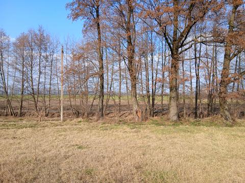 будинок за адресою смт. Стрижавка, Олександра Березовського, 33