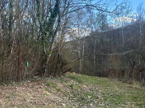 ділянка за адресою 