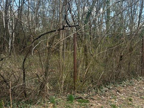 ділянка за адресою 