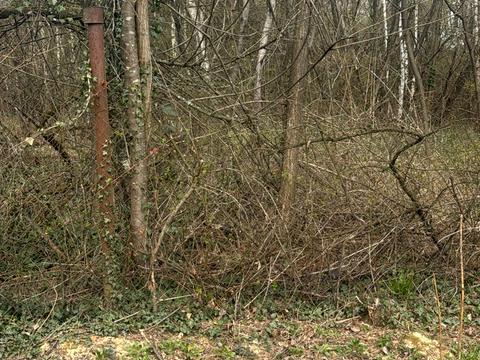 ділянка за адресою 