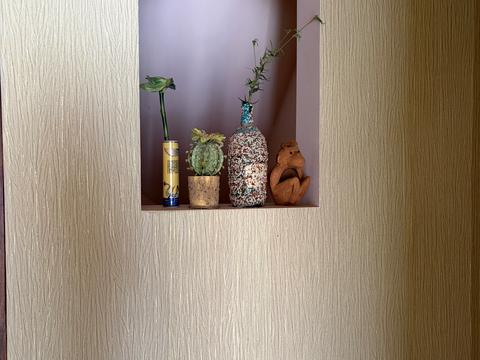 будинок за адресою 9 лінія, 255