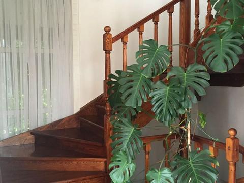 будинок за адресою Берегова, 3