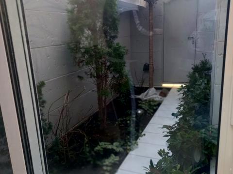 дом по адресу Длинная ул., 117