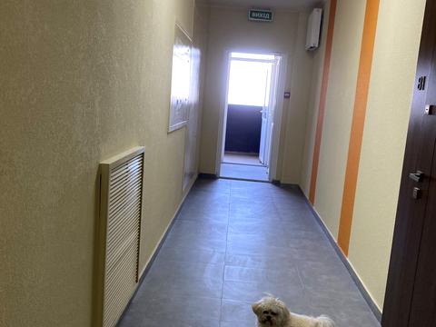 квартира за адресою Повітряних Сил просп. (Повітрофлотський), 56-Г