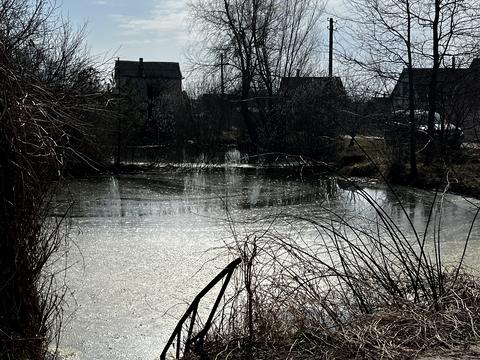 будинок за адресою с. Сонячне, Тюльпан