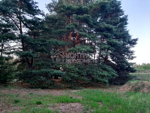 будинок за адресою село. Безручки