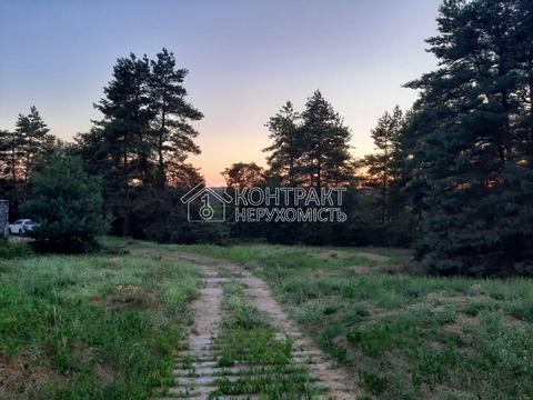 будинок за адресою село. Безручки