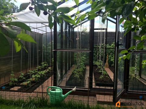 дом по адресу с. Плюты, Київська ул.