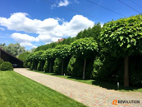 дом по адресу с. Плюты, Київська ул.