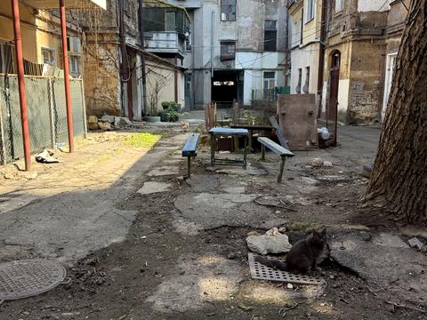 квартира за адресою Леонтовича вул. (Бєлінського), 12