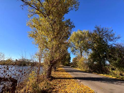 будинок за адресою Центральна, 9