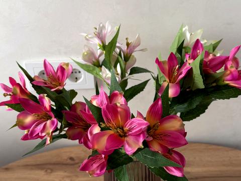 квартира за адресою Петра Могили вул., 28