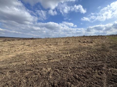 участок по адресу с. Лесовые Гриневцы, 