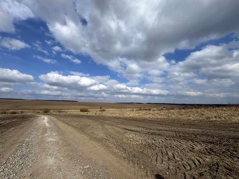 участок по адресу с. Лесовые Гриневцы, 