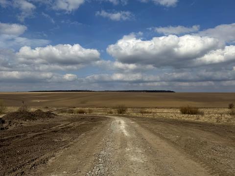 участок по адресу с. Лесовые Гриневцы, 