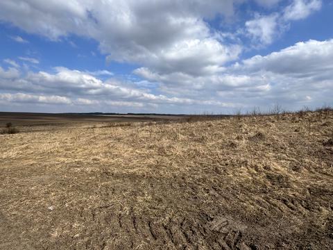 участок по адресу с. Лесовые Гриневцы, 