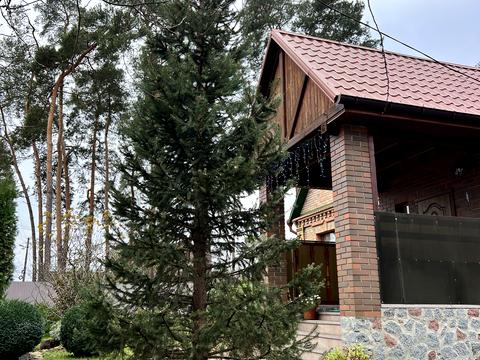 участок по адресу Богдана Хмельницкого ул., 39