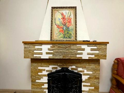 дом по адресу Шкуринецька