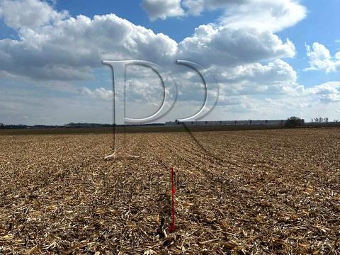 ділянка за адресою Білогородська вулиця