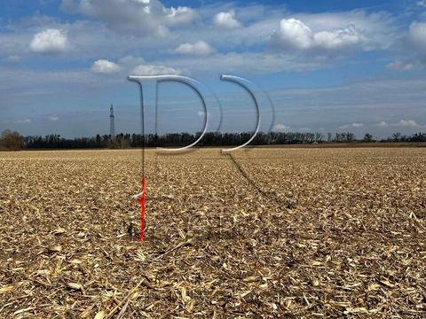 ділянка за адресою Білогородська вулиця