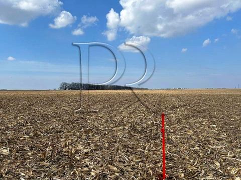 ділянка за адресою Білогородська вулиця