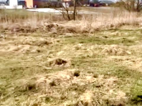 участок по адресу 