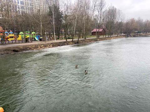 квартира за адресою Князя Романа Мстиславича вул. (Генерала Жмаченка), 22