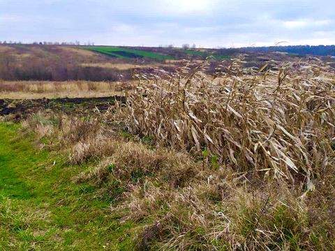 ділянка за адресою 