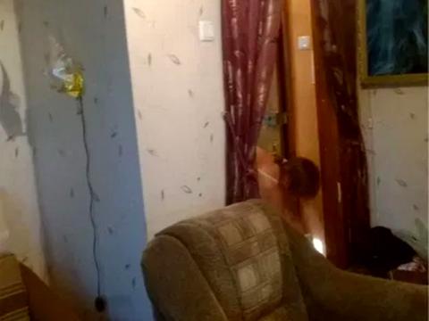 квартира по адресу Ялтинская ул., 5-А