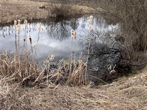 ділянка за адресою Зелена