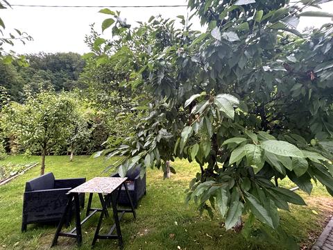 будинок за адресою шашкевича, 2