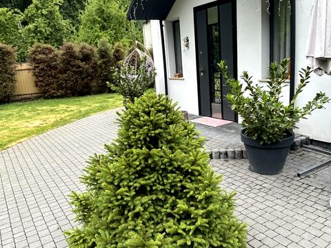 будинок за адресою шашкевича, 2