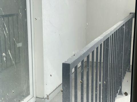 квартира по адресу Вулецкая ул., (Будинок)