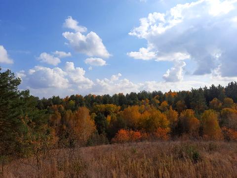 будинок за адресою Шевченка